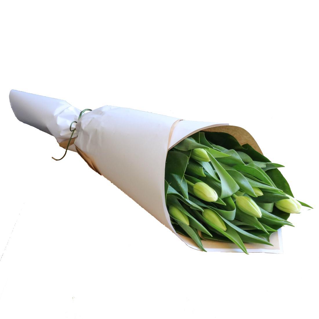 Product Right Thumbs and Bundle