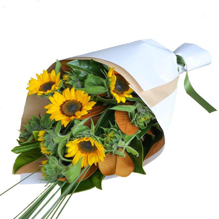 Blue Lace Long Sleeve Dress