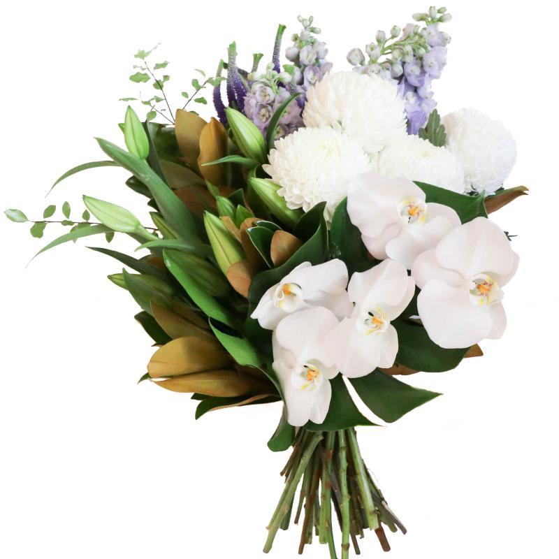 Product Image Middle