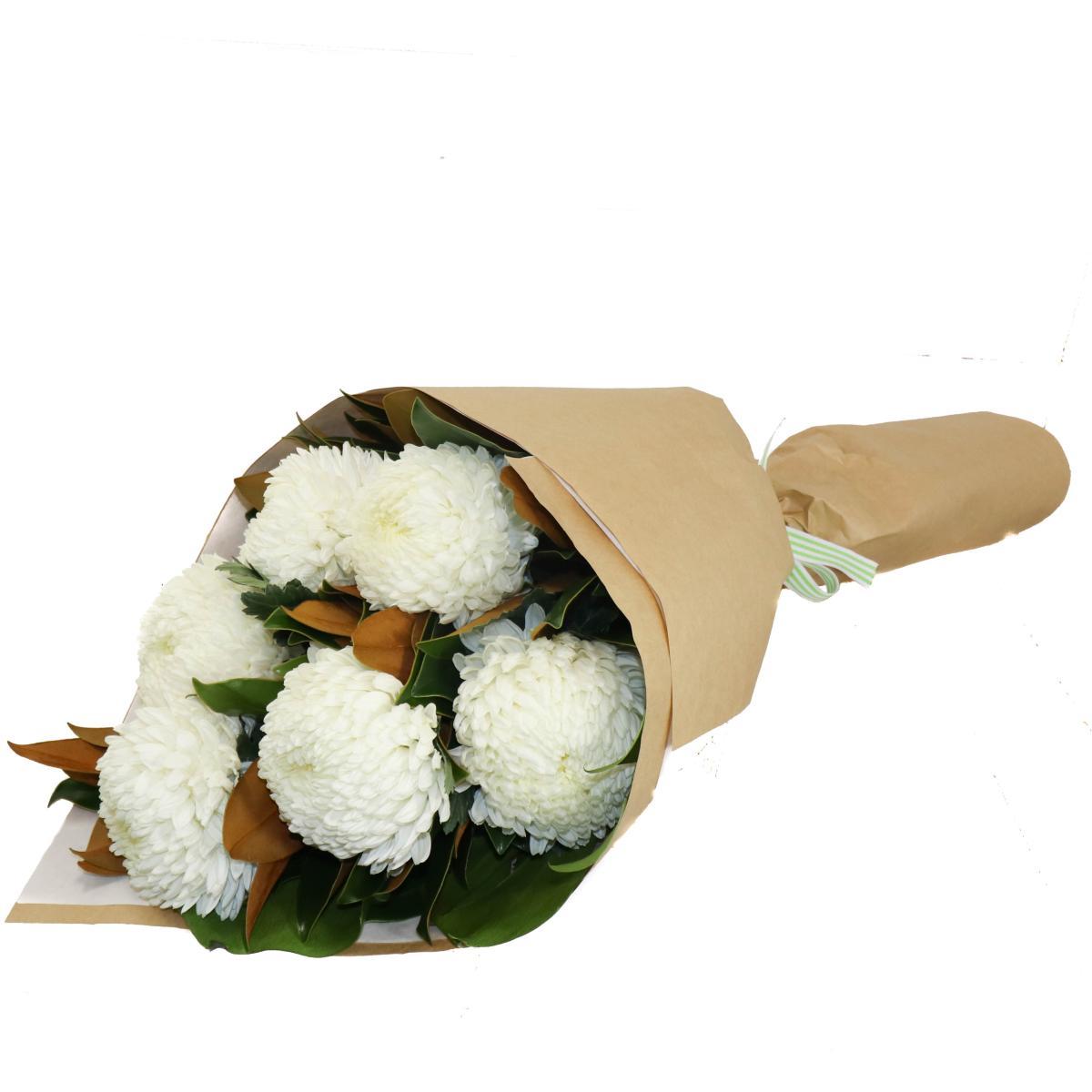 Product Right Thumbs and Bundle