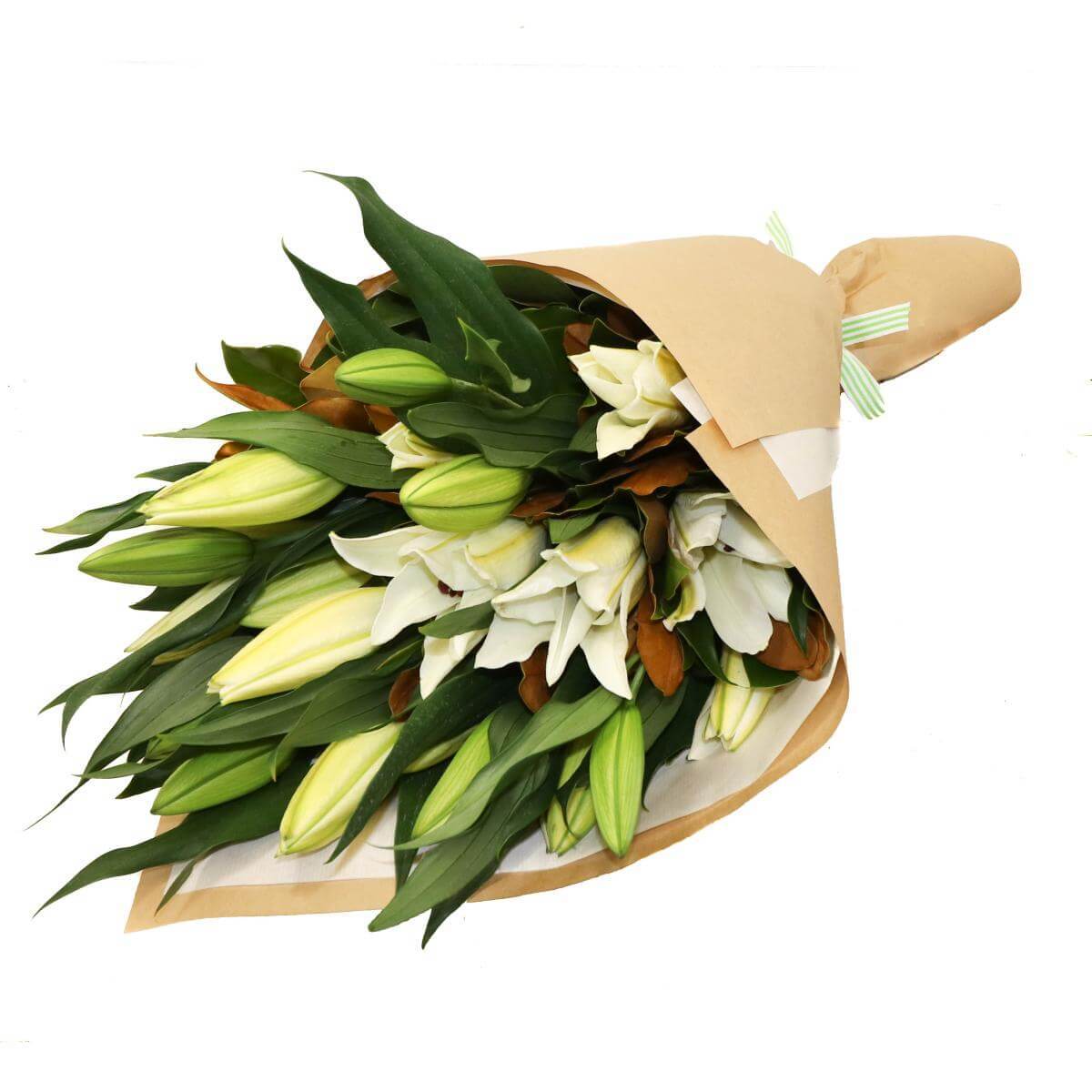 Product Right Thumbs and Bundle