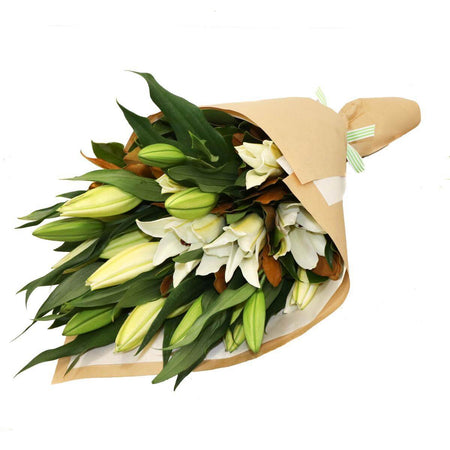 Blue Lace Long Sleeve Dress